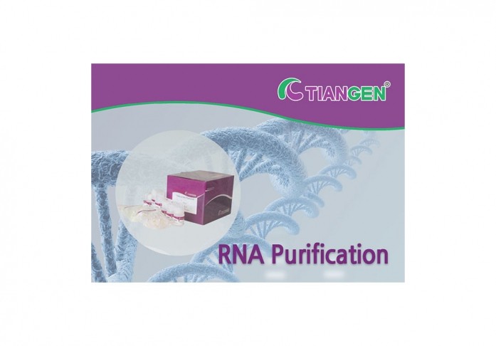 RNAprep pure Kit (For Tissue), 50rxn, DP431