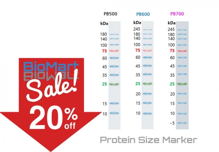 [할인행사] 50개 한정, Protein size marker, 10~180 kDa, 2 x 250μl, PB500