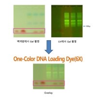One-Color DNA Loading Dye, 10 ml, TLD-602.3
